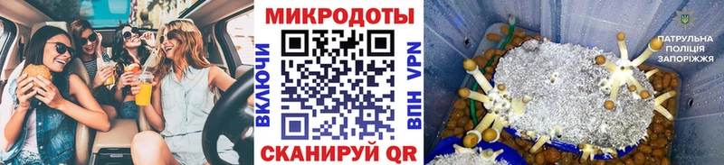 мега ТОР  нарко площадка наркотические препараты  Псилоцибиновые грибы мицелий  Борисоглебск 